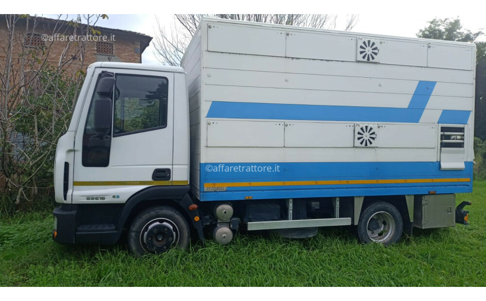 Iveco EUROCARGO 65E15 Usato - 4