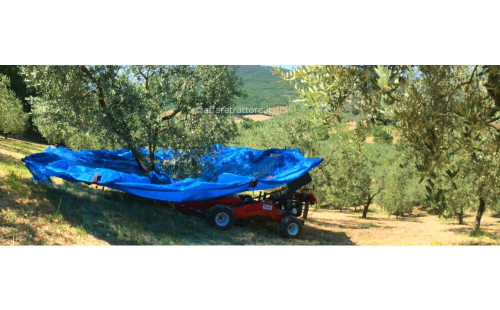 Bosco OlivSpeed 4x4 Nuovo - 4