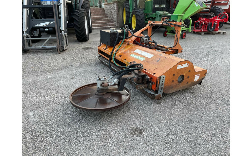 Agrimaster Trinciasarmenti con disco interfilare Usato - 2