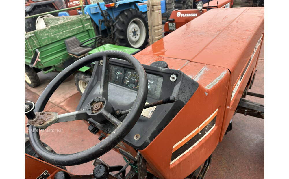 Fiat - Fiatagri 65-66 Usato - 4