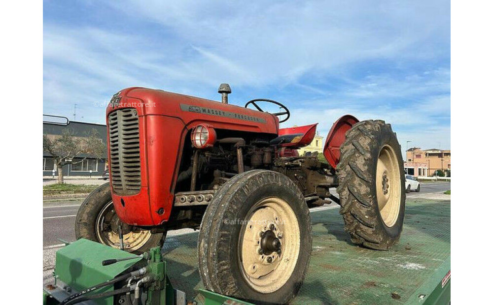 Massey Ferguson MF 35 Usato - 1